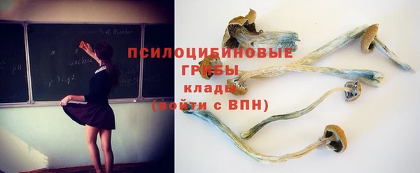 марки lsd Козельск