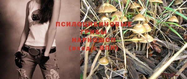марки lsd Козельск