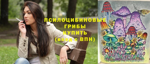 apvp Козловка