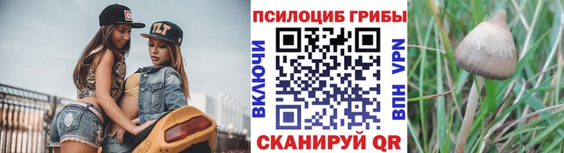 Купить где  Сковородино  Псилоцибиновые грибы Magic Shrooms 